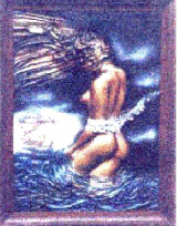 Quadro.jpg (58557 byte)