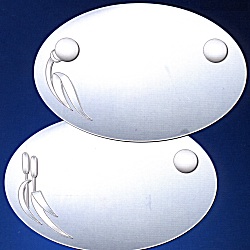 speccbag.jpg (20757 byte)